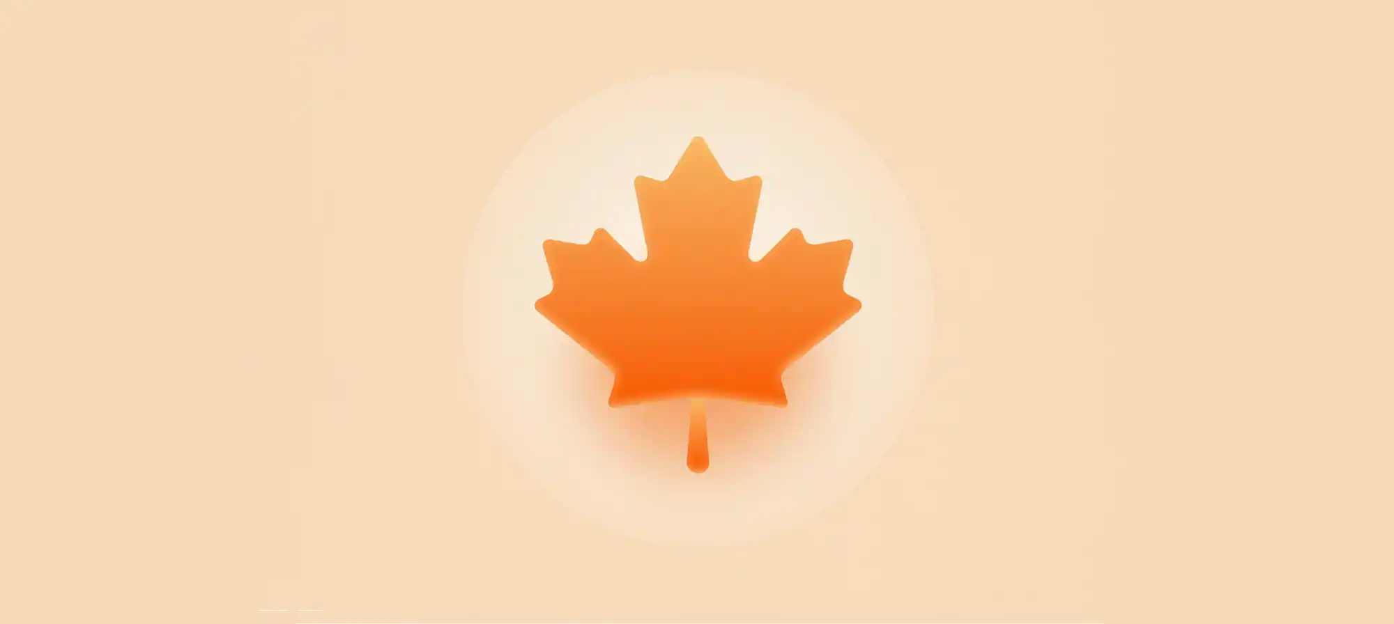 文章模板 - 特色图片